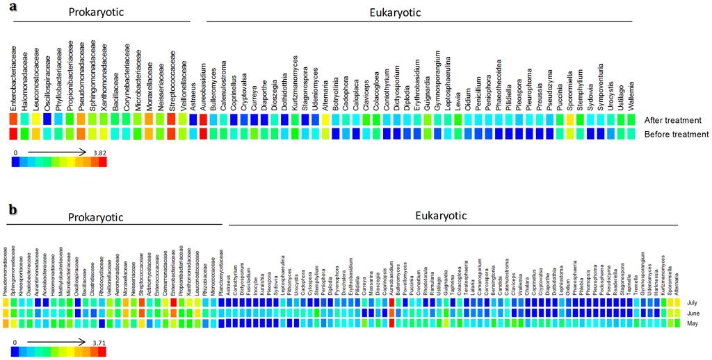 Fungi associated with leaves Pinto C, Pinho D, Sousa S, Pinheiro M, Egas C, et al.