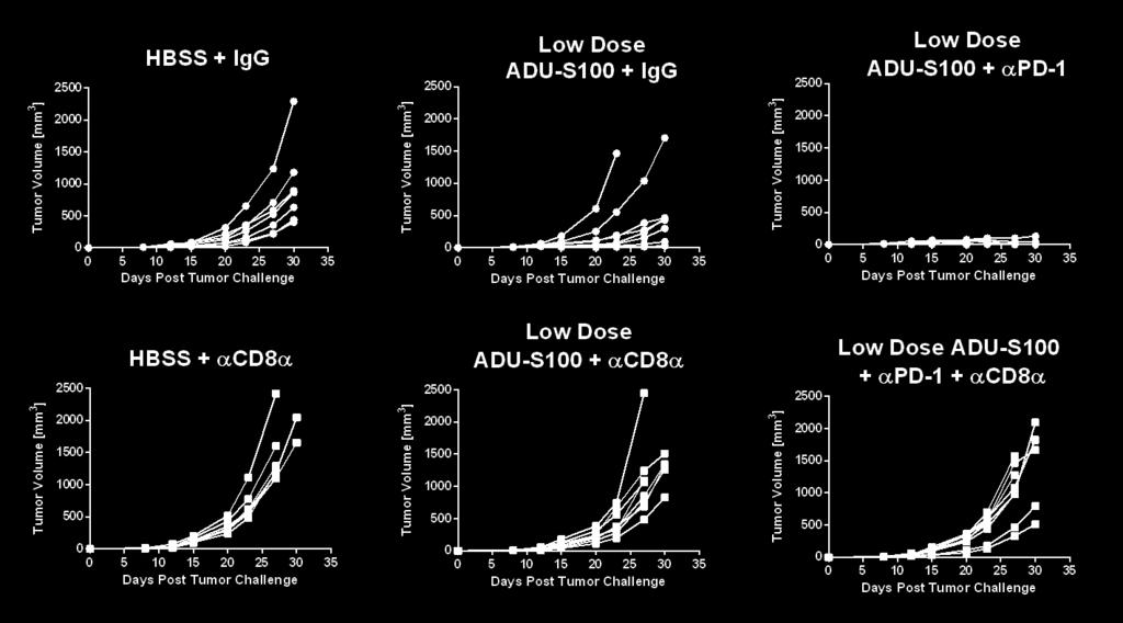 Combination Effect with Low Dose ADU-S100 and a-pd-1