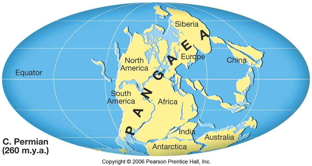 Formation of Pangaea in late