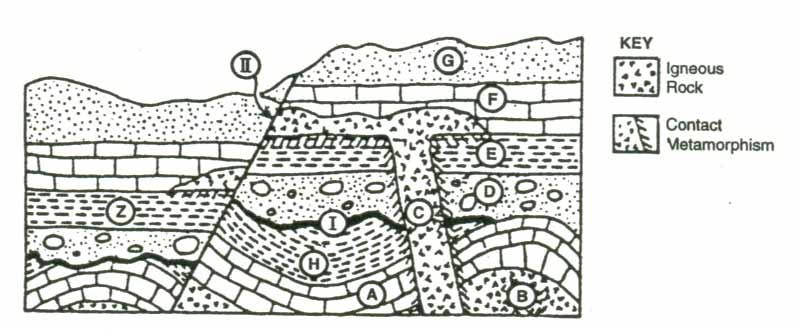 Rock layer Z represents the same rock layer as E 5. In which rock layers are fossils least likely to be found? B & C 6. Would rock layer C be considered an intrusion or an extrusion? Extrusion 7.
