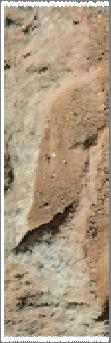 Dinosaur footprint in fine-grained limestone near