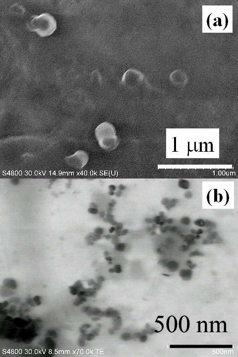 JLMN-Journal of Laser Micro/Nanoengineering Vol. 2, No. 1, 27 Si-ncs and/or Si-ncs aggregates have to be stable in colloidal suspension in a long time for various application.