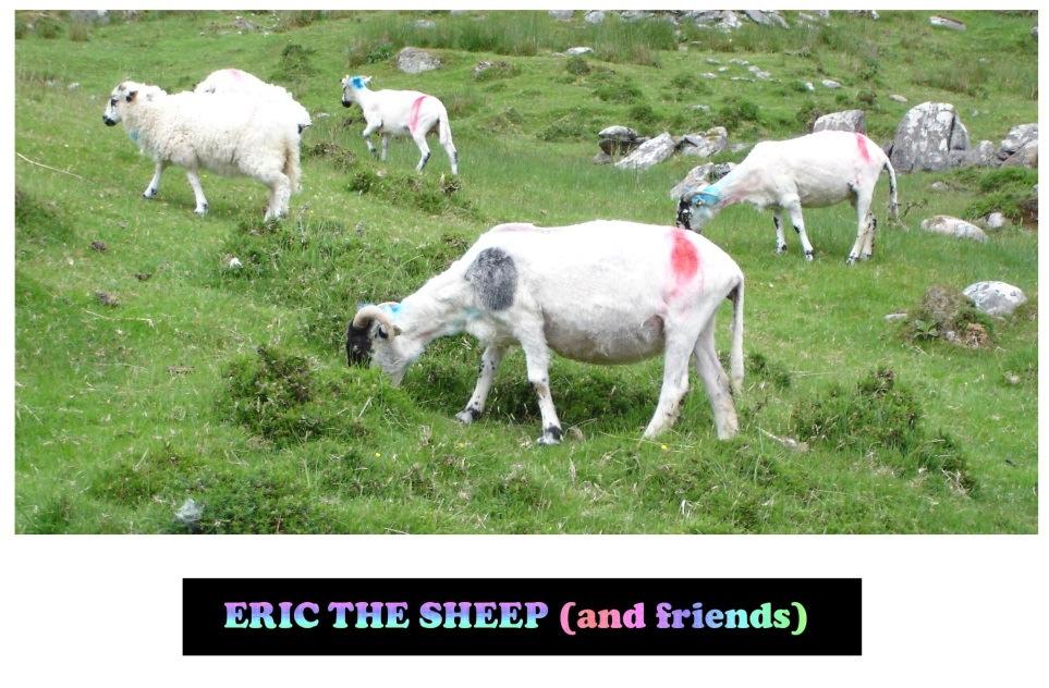 Activity 7-47: Eric The Sheep Eric the Sheep is at the end of a line of sheep waiting to be shorn. Being an impatient sheep, Eric sneaks up two places every time the shearer takes a sheep to be shorn.