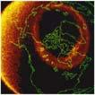 the magnetosphere An increased flow of charged particles from