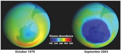 Industrial chemicals released into the atmosphere have damaged the ozone