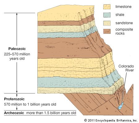 3. As more sediments pile up, the ones on the bottom are by the weight of the