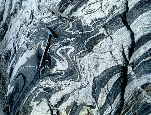 Foliated Metamorphic Rocks Gneiss - Coarse-grained rock with minerals segregated into light and dark