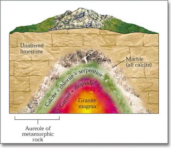 What are the three types of metamorphism?