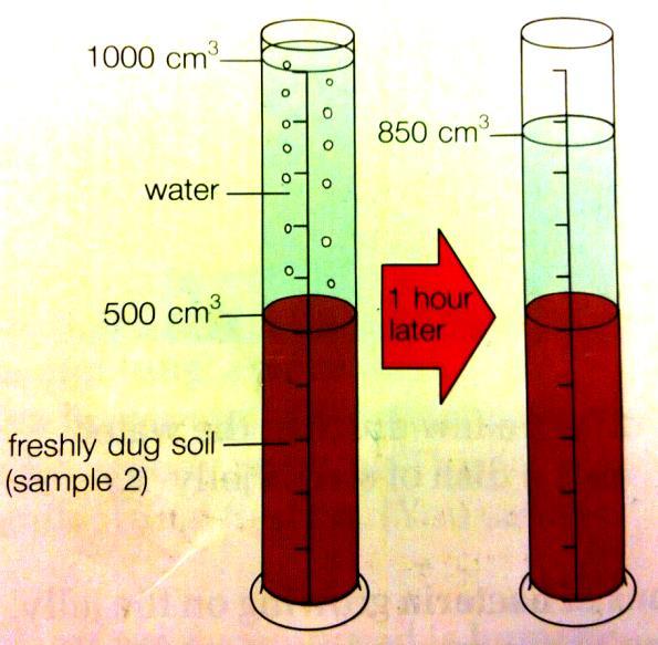 25 grams of fresh soil was analysed to determine the composition.