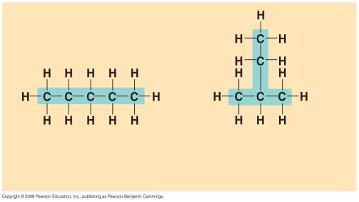 Structural Isomers Structural isomers have different structural arrangements of their carbon skeleton: Pentane