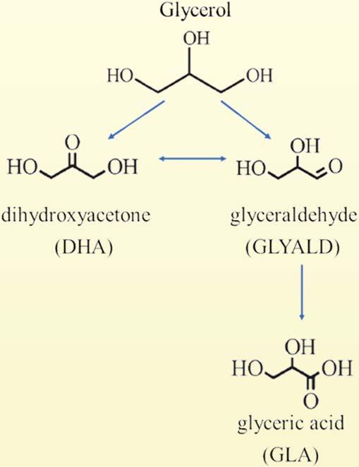 hydrogenation Glycerol oxidation Y. Zhu, F. Zaera, Catal. Sci.