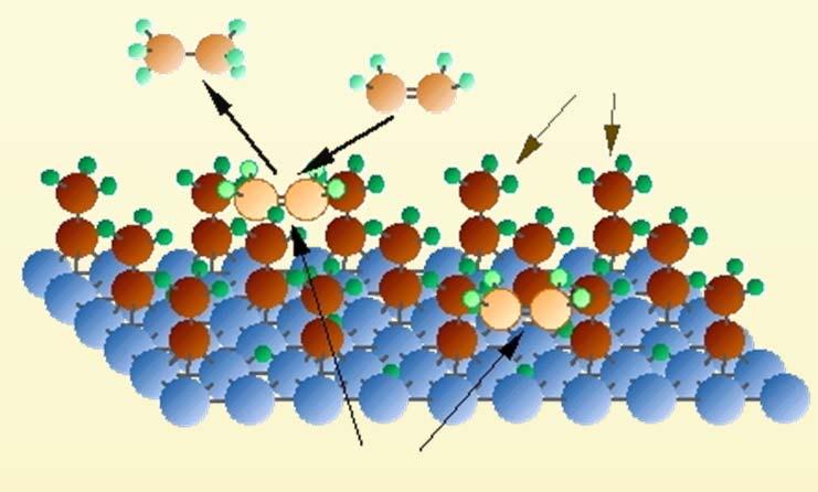 Surface Chemistry of Olefin Conversion Model of Working Catalyst Surface