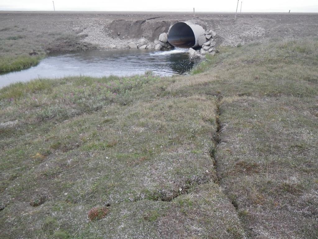 The observed features were located next to a stream created by water flow through two big culverts installed under the Dalton Highway.