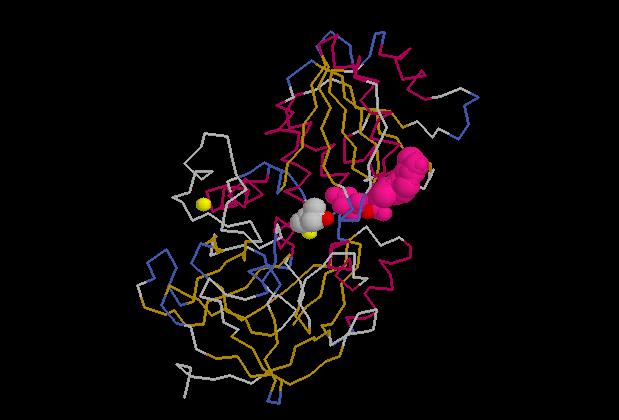 Alcohol Dehydrogenase with bound
