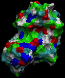 proteins have surfaces, crevices binding sites Folding information is in the sequence Potential pitfalls misfolding