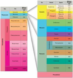 Time Scale The Geologic Time Scale The geologic time scale encompasses all of Earth history