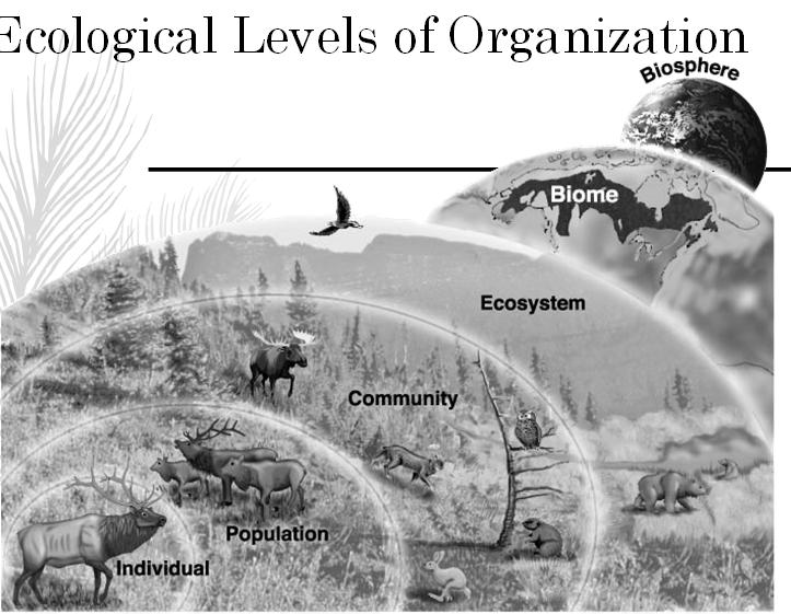 Brainstorm Examples Ecological Levels of Organization Biotic Factors 1. 2. 3. 4. 5.