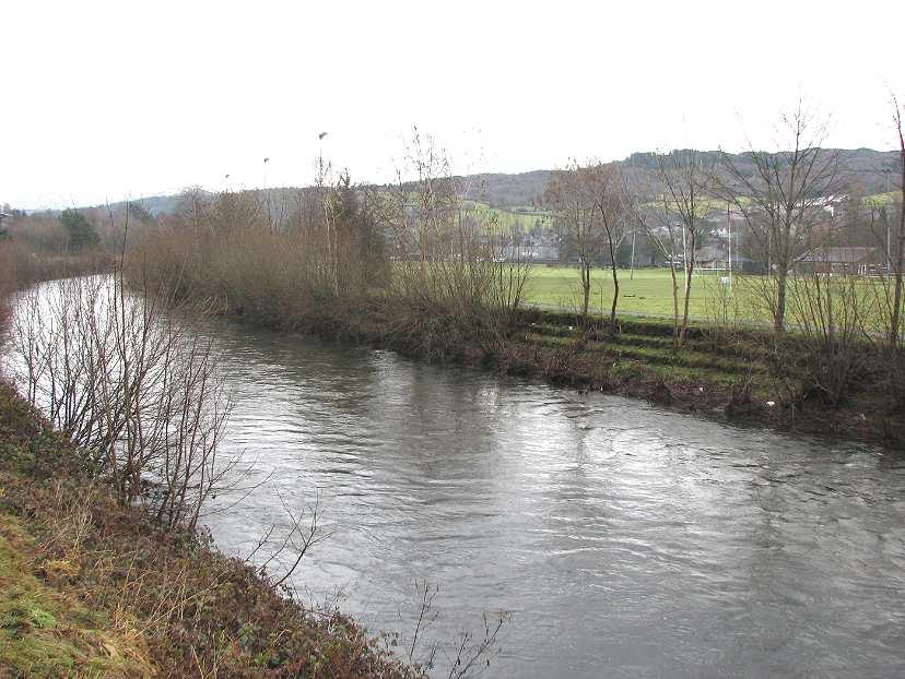 Figure 7: Confluence of the Arran stream, with the leisure centre building beyond.