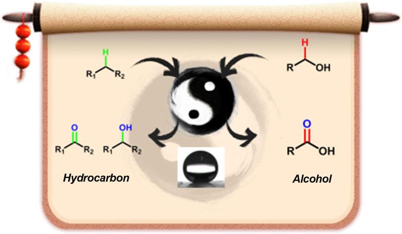 FULL PAPER Alcohol Oxidation Song Shi, Meng Liu, Li Zhao, Min Wang, Chen Chen,* Jin Gao, Jie Xu* && && Catalytic Oxidation of Alcohol to Carboxylic Acid with a Hydrophobic Cobalt Catalyst in