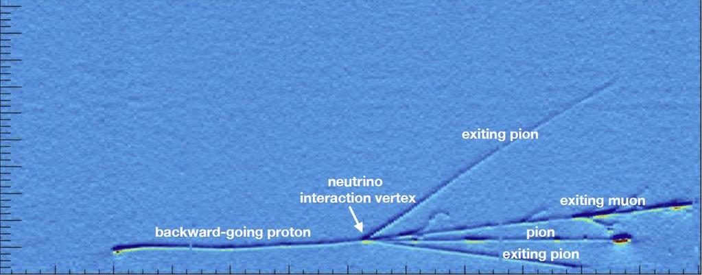 Neutrinos on Nuclei ArgoNeut Experiment n+ 40