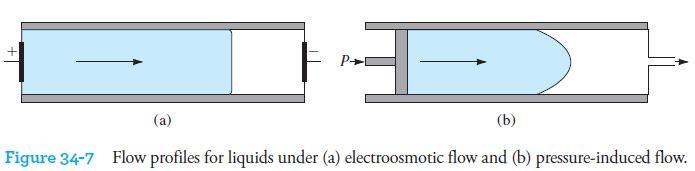 What is Capillary Electrophoresis?