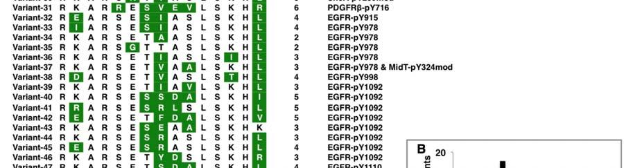 See table S2 for the sequences of the peptides. See the legend to Fig.