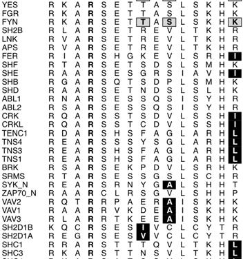 The 15 ptyr-binding pocket residues of 89 SH2 domains that have a