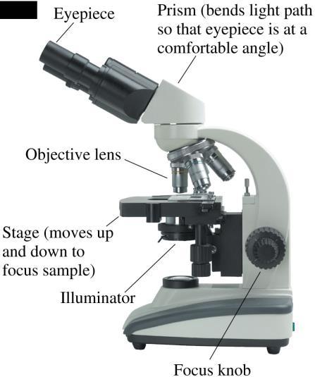 The Microscope A microscope, whose major parts are shown in the next slide, can attain a magnification