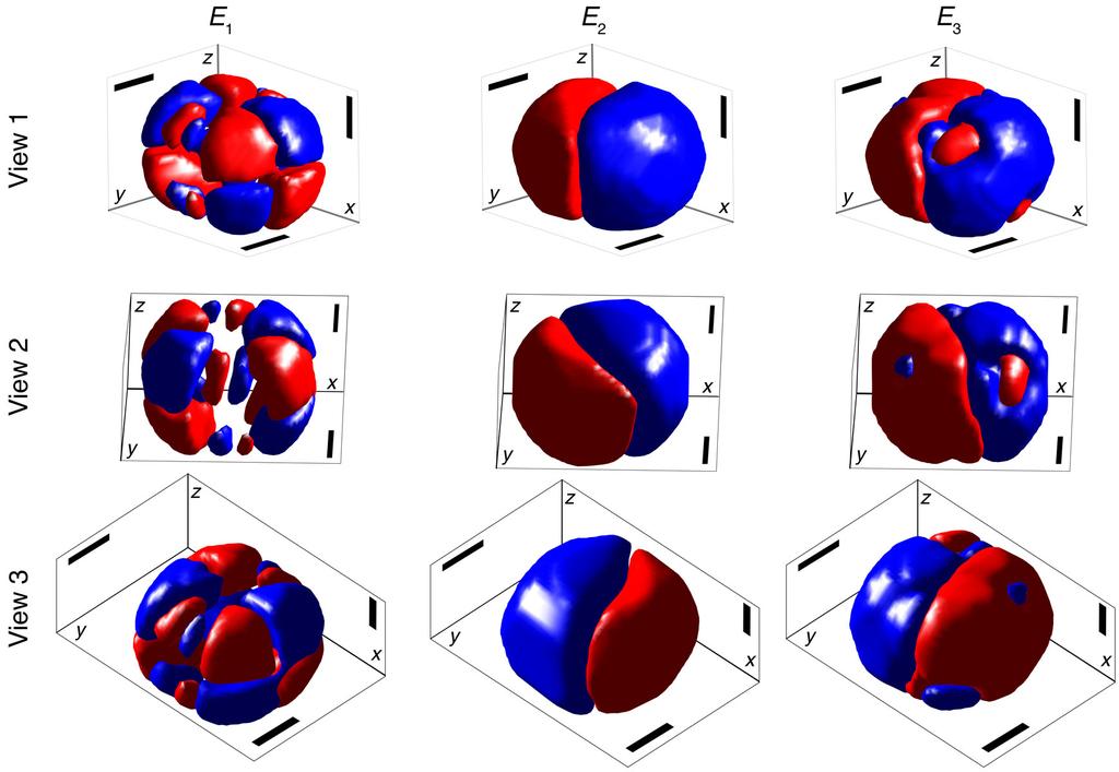 Supplementary Figure 7: Three-dimensional renderings of polarization dynamics.