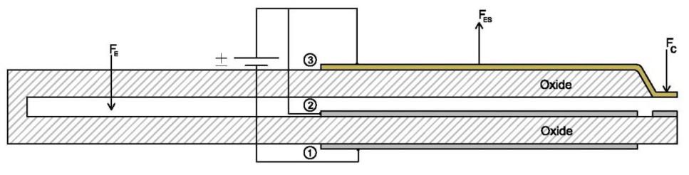 2. ANALYTIC FORCE CALCULATION The model consists of three parallel plates (Figure 1, left). The buried plate is fixed at depth d below the surface and is held at V/2 potential.