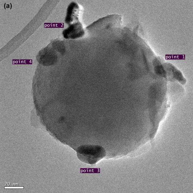 Photos showing that Fe 3 O 4 /C particles are fully dispersed in