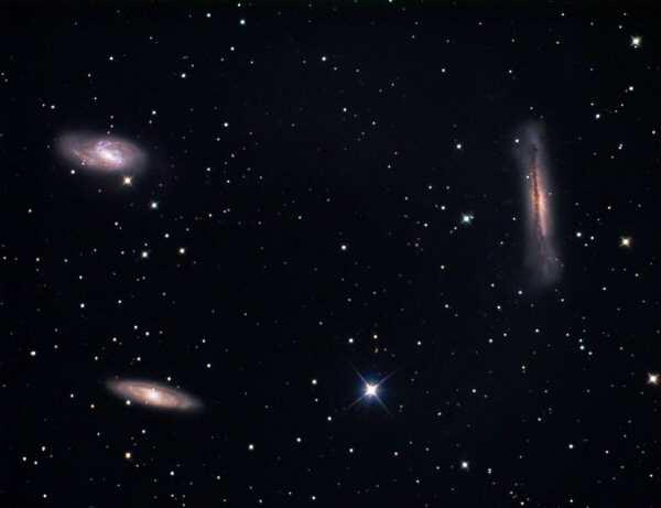 NGC 3268, M65 and M66 - Rick Krejci Our next Leo triplet consists of M66, M65 and NGC 3628, and again makes a wonderful grouping for a small telescope.