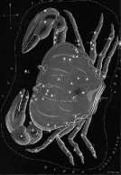 Cancer The Celestial Crustacean The history of the Cancer constellation goes back to the Greek mythology.
