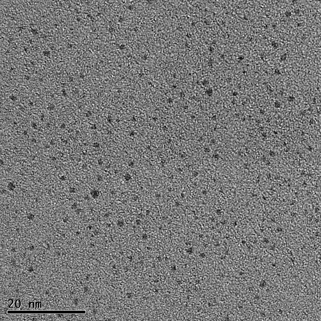Colloid number of particles 8 6.5.5.5 diameter (nm).