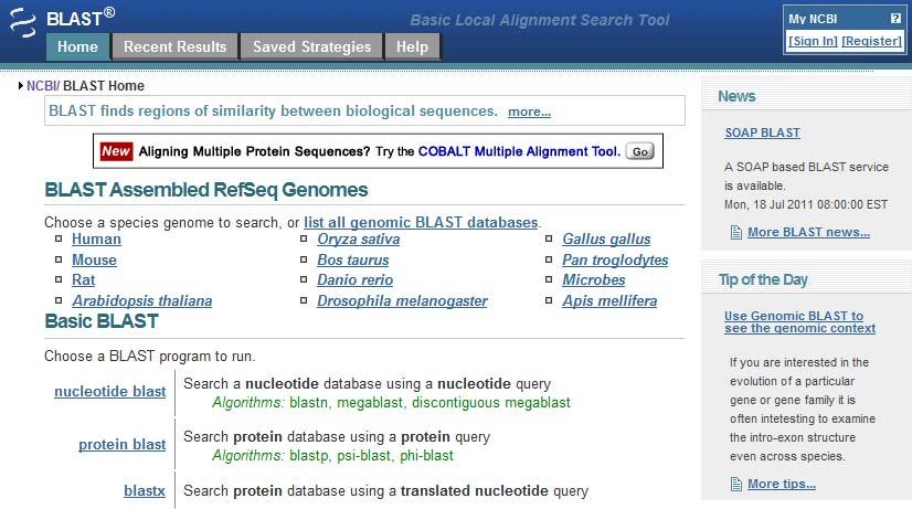 The Most Popular Search Tool: BLAST The NCBI BLAST