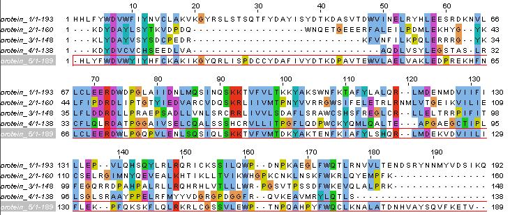 these 5 protein sequences?