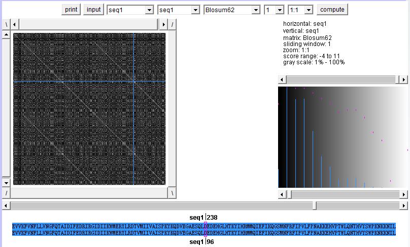 English Courses Comparing Two Sequences: Dot plot Substitution matrix, e.g. Blosum62 window size zoom The dots window will display the diagonal plot.