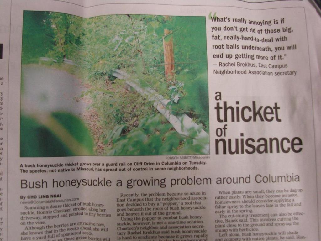Amur honeysuckle is an urban and rural problem Columbia Missourian September 16,