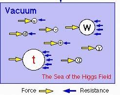 When you apply the same force to particles, the smaller the mass, the larger the acceleration. What is the origin of mass?