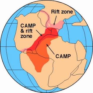 much more severe than T/J Siberian Traps P/T extinction CAMP T/J extinction