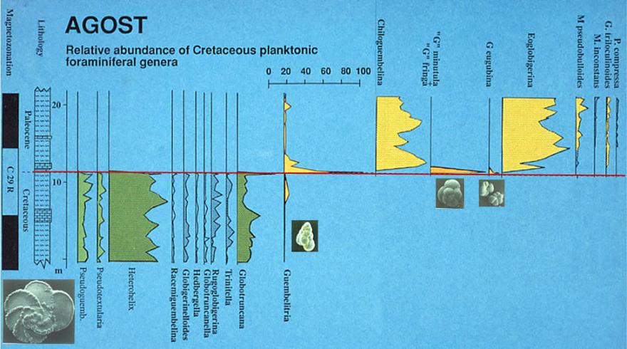 Abrupt Extinction End Cretaceous Abrupt Extinction End Permian