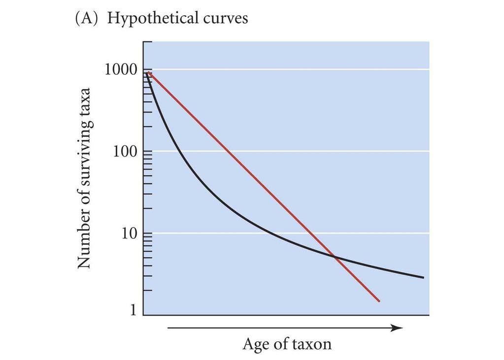 Taxonomic survivorship curves Extinction is constant Older taxa