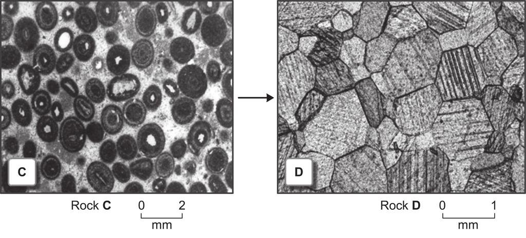 10 Figure 5 shows microscopic views of two rocks (C and D) linked by processes in the rock cycle. Figure 5 15.
