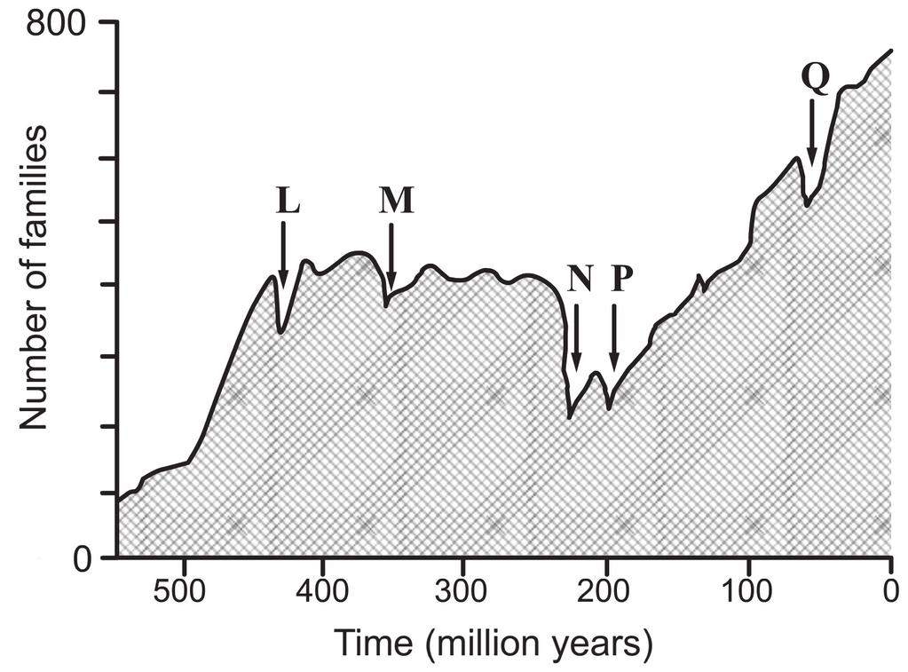 24 Section 6 answer questions 5-14 Figure 14 is a graph showing the number of forms of life (families) preserved in the fossil record and five major extinctions (L-Q) in the past 550 Ma. Figure 14 5.
