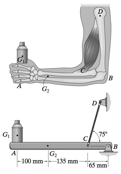 EGR1203(F)/Page 8 of 14 (e) A skeletal diagram of a hand holding a load is shown in Figure Q2-(e). If the load and the forearm have masses of 2 kg and 1.