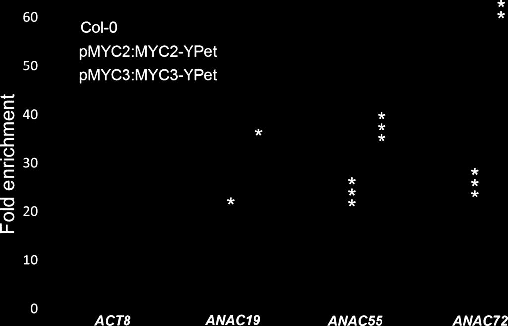 Graphic shows fold enrichment of quantitative PCR data from ChIP assays with antibody against GFP, which cross-reacts with the GFP derivative YPet, using the ACTIN8 gene as negative control.