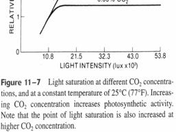 Light saturation point. Light saturation point increases as the CO2 concentration surrounding the plant raises.