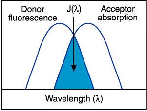 Förster (resonance) energy transfer The radiation field from an excited dipole can transfer energy to another dipole that oscillates at the same frequency. This occurs when: 1.