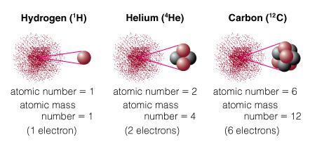 Atomic Terminology Atomic Number = # of protons in nucleus Atomic Mass Number = # of