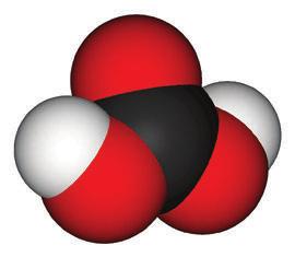 As more carbon dioxide is released into the atmosphere, why is that a
